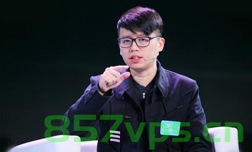 域名投资王新（域名投资最出名的人），王新，域名投资界的佼佼者（域名投资最出名的人） 第2张