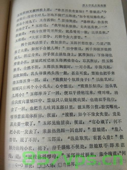 小黄书域名，小黄书域名解析与探索，小黄书域名解析与探索之旅 第2张