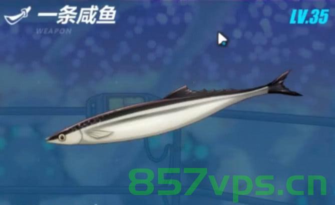 一条有梦想的咸鱼主机游戏直播（一条咸鱼科技有限公司），一条咸鱼科技，梦想驱动的主机游戏直播之旅