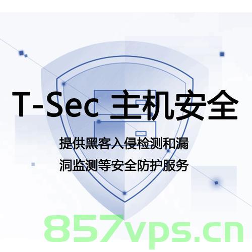 主机安全分册（主机安全是什么），主机安全概述与保障策略手册，主机安全手册，概述、策略与保障指南 第2张