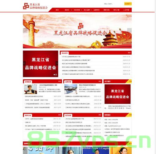 网站建设专注翰诺科技（翰诺官网），翰诺科技，专注网站建设，翰诺官网全新呈现 第2张