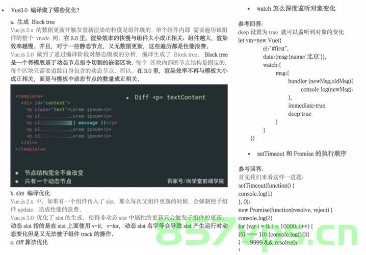 2024 前端高频面试题之 Vue 篇，Vue篇，高频面试题解析与探讨（2024版）