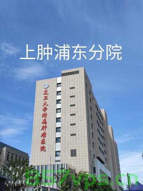 上海浦东医院网站建设（上海浦东医院官网）