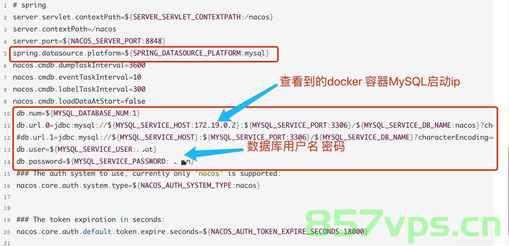 使用 Docker 部署 Nacos 并配置 MySQL 数据源，Docker部署Nacos并配置MySQL数据源指南 第2张