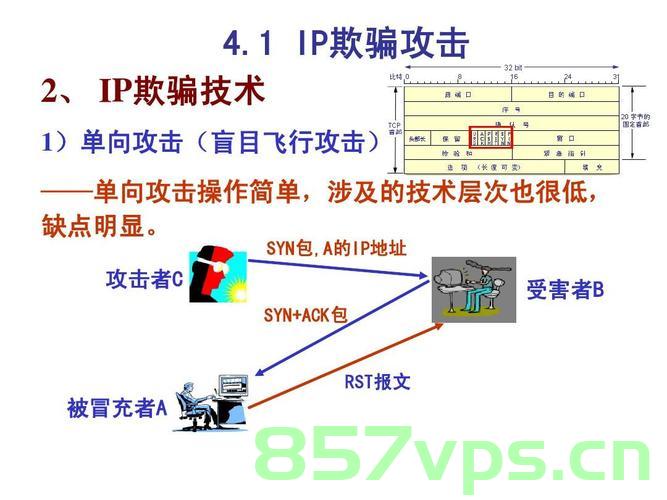 使用 IEEE (1735) Verilog 标准机制进行 IP 保护，基于IEEE Verilog标准的IP保护机制，基于IEEE Verilog标准的IP保护机制与实现策略，基于IEEE Verilog标准的IP保护机制及其实现策略研究，基于IEEE Verilog标准的IP保护机制及其实现策略研究与实践指南 第2张