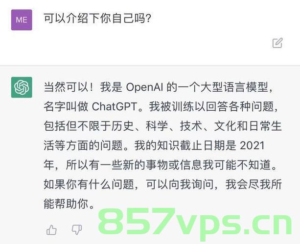 当我尝试问了chatGPT几个问题之后，我感到了危机......，ChatGPT引发危机感，深入对话后的思考 第2张