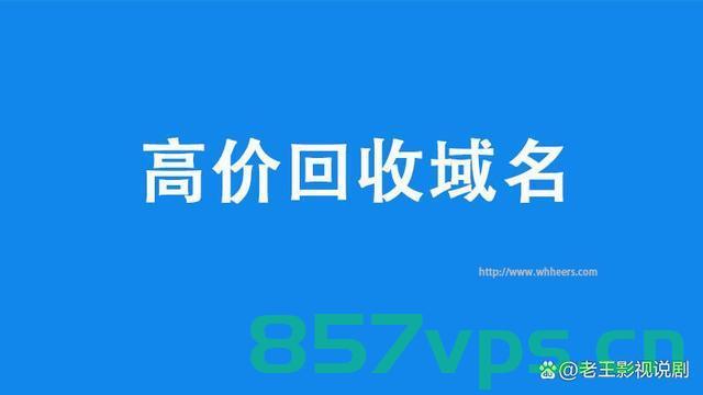 世界最大的二手域名（世界上最大的二手交易网站），世界上最大的二手域名交易网站概述 第2张