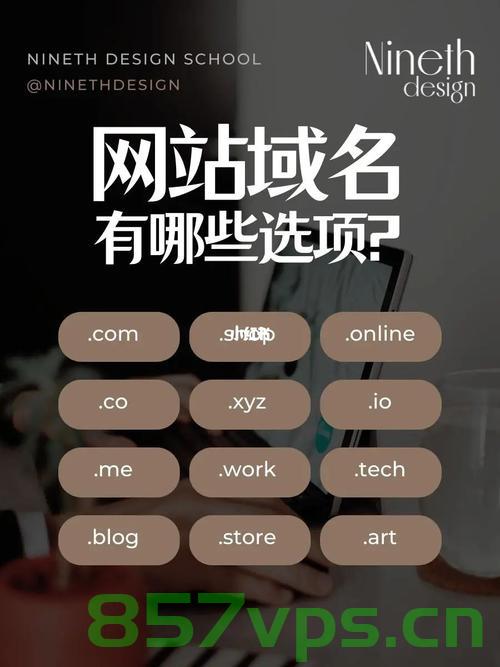 域名网站有啥（域名网站有啥作用），域名网站的作用及功能简介，域名网站的作用与功能简介，解析域名网站的作用及功能特点 第2张