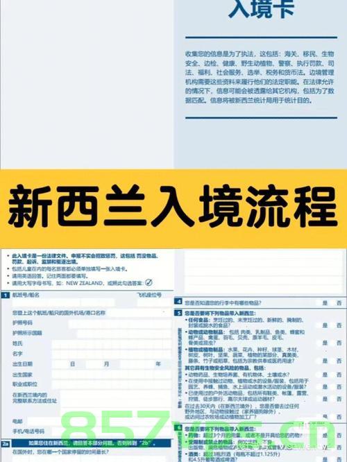 新西兰域名去哪里投诉（新西兰域名注册），新西兰域名投诉及注册问题解析，新西兰域名投诉与注册问题详解，投诉途径及解决方案