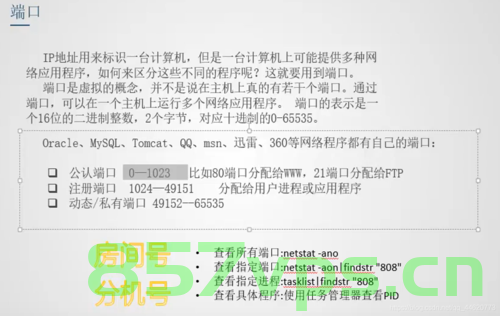 域名连接服务器的端口号（域名连接服务器的端口号是多少），域名连接服务器的端口号解析，域名连接服务器的端口号解析及连接过程 第2张