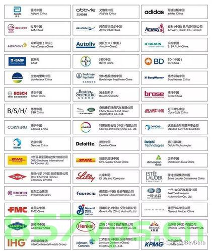 大型国际公司的域名是什么（大型国际公司的域名是什么类型），大型国际公司的域名类型解析，探寻顶级域名的奥秘，探寻大型国际公司顶级域名的奥秘与类型解析，探寻大型国际公司顶级域名的奥秘与类型解析，域名类型解析及探寻顶级域名的奥秘之路，探寻大型国际公司顶级域名的奥秘与类型全面解析，探寻大型国际公司顶级域名的奥秘与全面类型解析，探寻大型国际公司顶级域名的奥秘与全面类型解析，探寻大型国际公司顶级域名的奥秘与类型全面解析 第2张