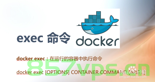 docker exec，Docker命令执行详解，使用docker exec进行容器内操作