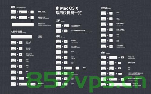 C# List使用详解，C List使用指南，C List使用详解与指南