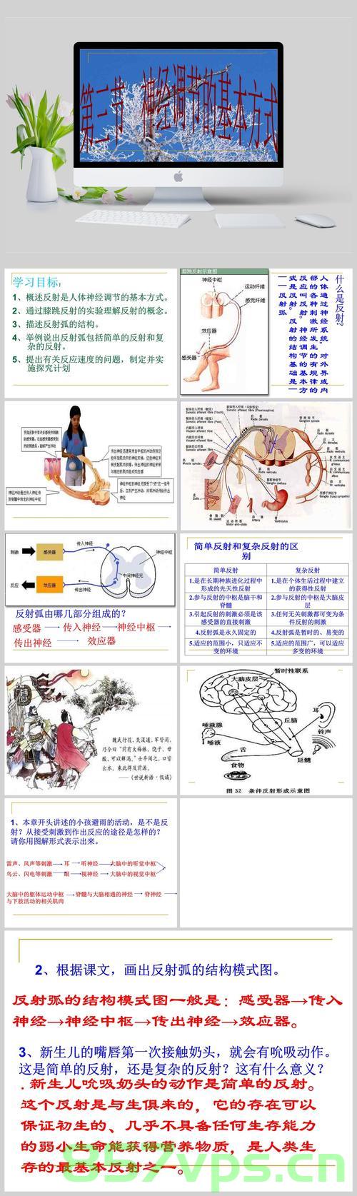 反射技术介绍以及底层逻辑使用，反射技术详解，底层逻辑与应用介绍，反射技术详解，底层逻辑、应用与介绍，反射技术详解，底层逻辑、应用与全面介绍，反射技术详解，底层逻辑、应用与全面介绍