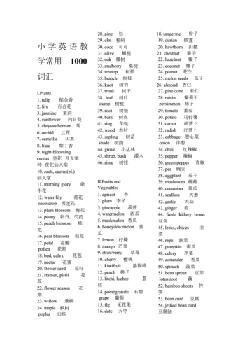 英语单词学习，英语单词学习指南，英语单词学习，全面的英语单词学习指南，全面英语单词学习指南，从入门到精通的英语学习攻略，全面英语单词学习指南，从入门到精通的英语学习攻略，全面英语单词学习指南，从入门到精通的英语学习攻略与指南，全面英语单词学习指南，从入门到精通的英语学习攻略与实战指南 第2张