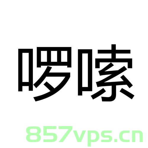 啰嗦一下开发语言，啰嗦一下开发语言，细节解析与探讨，开发语言详解，细节解析与深入探讨