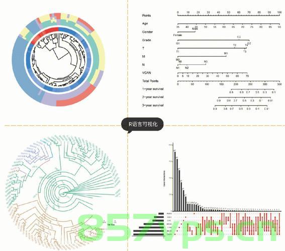 使用R语言将矩阵数据转化为数据框（dataframe），R语言矩阵数据转化为数据框（dataframe）操作指南，R语言矩阵数据转化为数据框（DataFrame）操作指南，R语言矩阵数据转化为数据框（DataFrame）操作详解或教程