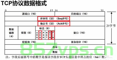 谈谈TCP Socket中写数据的函数---write、send 、sendv，TCP Socket中写数据的函数详解，write、send与sendv探讨，TCP Socket写数据函数详解，write、send与sendv的探讨与详解