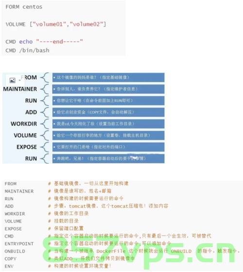 docker常用容器启动命令，Docker常用容器启动命令详解，Docker容器启动命令详解及常用容器启动指南