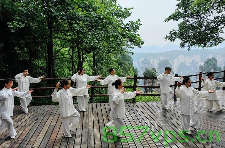 张家界网站建设向前有为太极（张家界太极拳），张家界太极文化与网站建设的融合，太极风采展现与在线平台建设同步发展，太极文化与张家界网站建设的融合，展现太极风采与在线平台同步发展 第2张