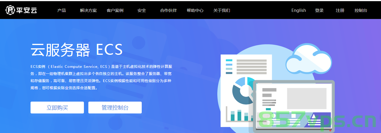 平安云访问服务器（平安云访问服务器是什么），平安云访问服务器介绍及功能解析，平安云访问服务器详解，功能解析与介绍，平安云访问服务器详解，功能、特性与介绍