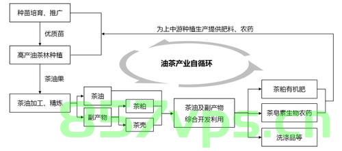 江西安远油茶产业链的崛起与发展智能免费问答EasyAI m.857vps.cn，江西安远油茶产业链崛起与发展概览，智能问答揭示发展路径 第2张