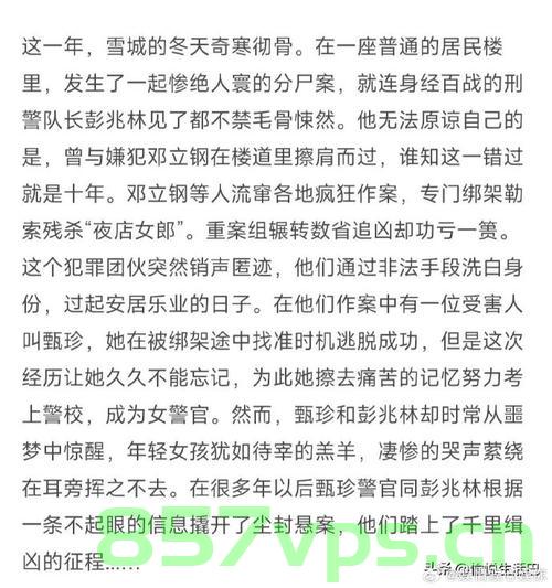 开年第一部纯血犯罪剧来了，揭秘黑暗中的正义之光智能免费问答EasyAI m.857vps.cn，开年首部纯血犯罪剧揭秘，正义之光EasyAI闪耀黑暗，开年首部纯血犯罪剧，正义之光EasyAI闪耀黑暗之谜 第2张