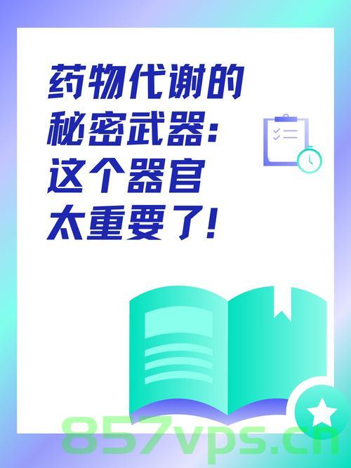 午睡时光,修复全身多个器官的秘密武器智能免费问答EasyAI m.857vps.cn,午睡时光的秘密武器,智能修复全身器官,EasyAI助你轻松养生 第2张 午睡时光,修复全身多个器官的秘密武器智能免费问答EasyAI m.857vps.cn,午睡时光的秘密武器,智能修复全身器官,EasyAI助你轻松养生 第2张