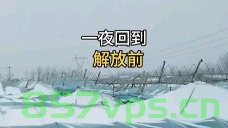 雪中的意外，大棚倒塌下的生命奇迹智能免费问答EasyAI m.857vps.cn，雪中大棚倒塌下的生命奇迹，智能问答揭示奇迹故事，雪中大棚倒塌下的生命奇迹，智能问答揭示奇迹故事全貌，雪中大棚倒塌下的生命奇迹，智能问答揭示奇迹故事全貌 第2张
