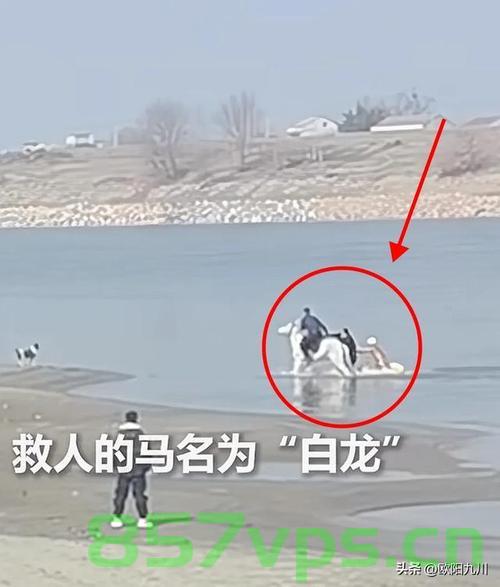 跳江救人的英雄白龙马离世，英勇事迹永载人心智能免费问答EasyAI m.857vps.cn，英雄白龙马离世，英勇事迹永载人心——缅怀跳江救人的英雄传奇，缅怀跳江救人的英雄白龙马，英勇事迹永载人心，传奇精神永传世间，缅怀跳江救人的英雄白龙马，英勇事迹永载人心，传奇精神世代传颂，跳江救人的英雄白龙马离世，英勇事迹永载人心——纪念传奇英雄传奇的一生，跳江救人的英雄白龙马离世，英勇事迹永载人心——纪念传奇英雄的一生，跳江救人的英雄白龙马离世，英勇事迹永载人心——纪念传奇英雄的一生。