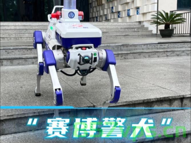 校园新保安机器狗即将上岗智能免费问答EasyAI m.857vps.cn，校园新保安机器狗即将上岗，智能EasyAI问答系统亮相校园m.857vps.cn，校园新保安机器狗亮相，智能EasyAI问答系统助力校园安全m.857vps.cn 第2张