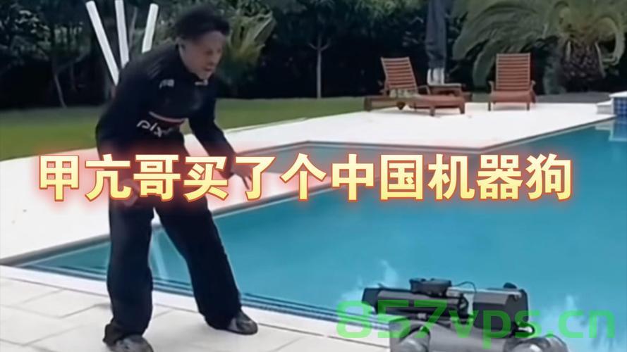 甲亢哥全款提走三台华为三折叠，消费新潮下的故事智能免费问答EasyAI m.857vps.cn，消费新潮下的故事，甲亢哥全款提走三台华为三折叠，消费新潮下的故事，甲亢哥全款提走三台华为三折叠，甲亢哥全款提走三台华为三折叠，消费新潮下的故事，消费新潮下的故事，甲亢哥全款提走三台华为三折叠 第2张