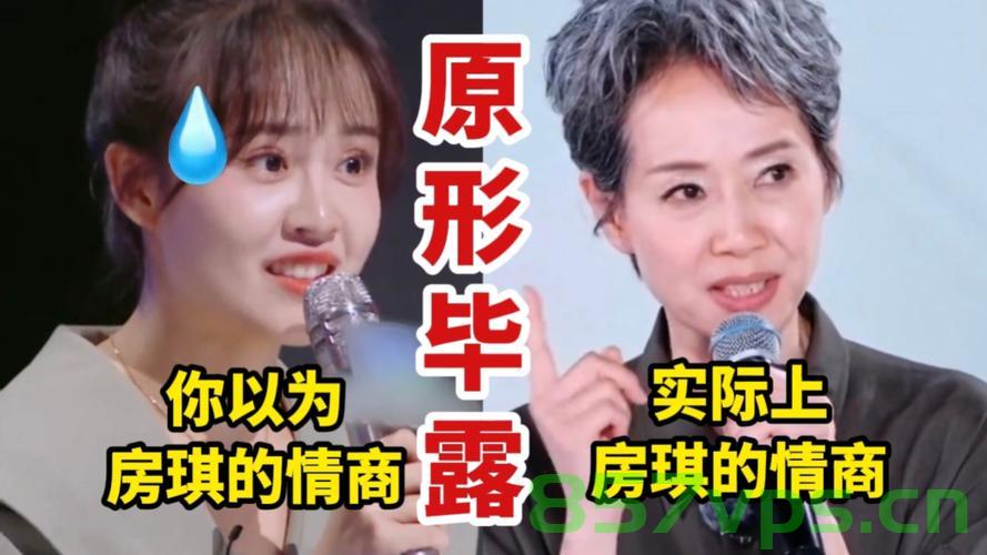 叶童谈房琪言论，避免过度解读与放大智能免费问答EasyAI m.857vps.cn，叶童回应房琪言论，避免过度解读，智能问答背后的真相揭秘，叶童回应房琪言论，避免过度解读，智能问答背后的真相与探讨 第2张