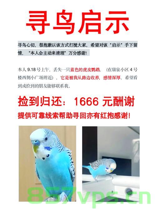 北京野生动物园辟谣，并未强制带走鹦鹉事件智能免费问答EasyAI m.857vps.cn，北京野生动物园辟谣，鹦鹉事件并未强制带走，智能免费问答解析，北京野生动物园辟谣，鹦鹉事件并未强制带走，智能问答解析揭秘，北京野生动物园辟谣，鹦鹉事件并未强制带走，智能问答解析揭秘，北京野生动物园辟谣，鹦鹉事件并未强制带走，智能问答解析揭秘真相，北京野生动物园辟谣，鹦鹉事件并未强制带走，智能问答解析真相揭秘，北京野生动物园辟谣，鹦鹉事件并未强制带走，智能问答解析真相大揭秘 第2张