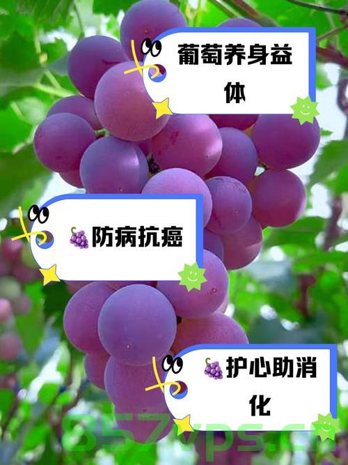一条朋友圈求助，保住四百多亩葡萄的希望之光智能免费问答EasyAI m.857vps.cn，智能问答助力四百多亩葡萄保希望，求助朋友圈，免费问答平台EasyAI助力 第2张