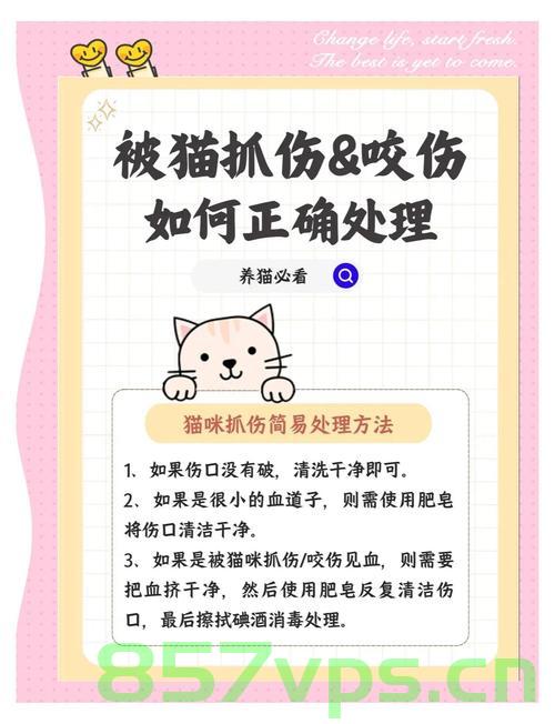 女子遭宠物猫咬伤致腿部溃烂，警惕宠物安全与伤害预防智能免费问答EasyAI m.857vps.cn，女子遭宠物猫咬伤引发腿部溃烂，引发对宠物安全与伤害预防智能问答的关注，女子遭宠物猫咬伤引发腿部溃烂，引发关注，宠物安全与伤害预防智能问答的重要性，女子遭宠物猫咬伤引发腿部溃烂，凸显宠物安全与伤害预防智能问答的重要性，女子遭宠物猫咬伤引发腿部溃烂，凸显宠物安全与伤害预防智能问答的重要性——来自EasyAI的提醒 第2张