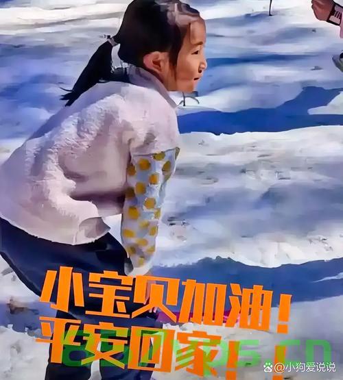 六岁女童过马路遭遇罐车碾压悲剧，安全警钟长鸣智能免费问答EasyAI m.857vps.cn，六岁女童遭遇罐车碾压悲剧，引发社会关注，智能问答平台敲响安全警钟。，六岁女童遭遇罐车碾压悲剧引发社会关注，智能问答平台敲响安全警钟，呼吁关注儿童交通安全 第2张