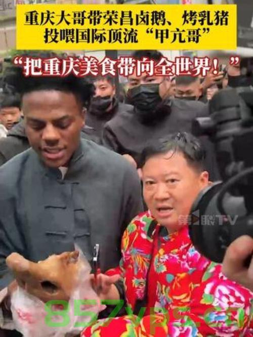 甲亢哥盛赞重庆城与卤鹅叔的独特魅力智能免费问答EasyAI m.857vps.cn，甲亢哥盛赞重庆卤鹅文化与现代智能魅力，甲亢哥盛赞重庆卤鹅文化与现代智能魅力闪耀之城卤鹅叔卤味传奇风采展露风采展露风采展露展露风采展露展露展露展露展露展露重庆城独特魅力风采展露展露展露展露展露展露展露重庆卤鹅文化风采展露展露展露展露风采展露展露展露智能魅力风采展露展露展露展露重庆城卤鹅叔美食之旅的独特魅力 第2张
