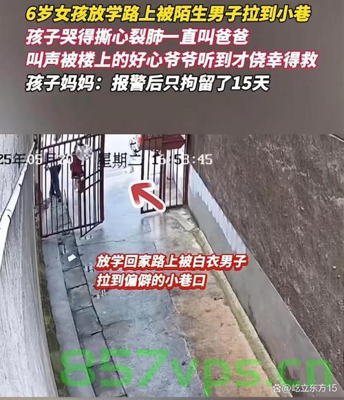 男子将放学女童拖进小巷被拘15日，事件深度剖析与反思智能免费问答EasyAI m.857vps.cn，男子拖进小巷侵害女童事件深度剖析与反思，法律制裁与智能免费问答探讨，男子拖进小巷侵害女童事件深度剖析，反思法律制裁与智能问答探讨 第1张