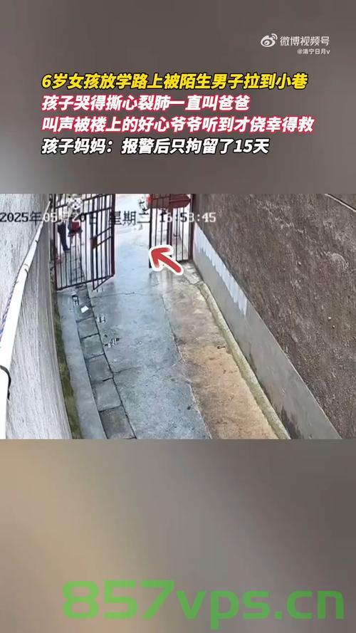男子将放学女童拖进小巷被拘15日，事件深度剖析与反思智能免费问答EasyAI m.857vps.cn，男子拖进小巷侵害女童事件深度剖析与反思，法律制裁与智能免费问答探讨，男子拖进小巷侵害女童事件深度剖析，反思法律制裁与智能问答探讨 第2张