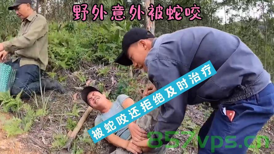三亚女游客遭蛇咬后咨询鉴蛇博主，一次意外的网络求助与应急知识的力量智能免费问答EasyAI m.857vps.cn，三亚女游客遭蛇咬紧急求助网络，鉴蛇博主助力，应急知识与智能问答显神通，三亚女游客遭蛇咬紧急求助网络，鉴蛇博主助力，智能问答显神通，应急知识助力脱险之路