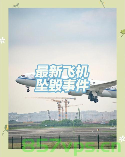 再见印度，坠毁客机乘客登机前的深情告别智能免费问答EasyAI m.857vps.cn，印度告别之际，坠毁客机乘客登机前的深情告别 第2张