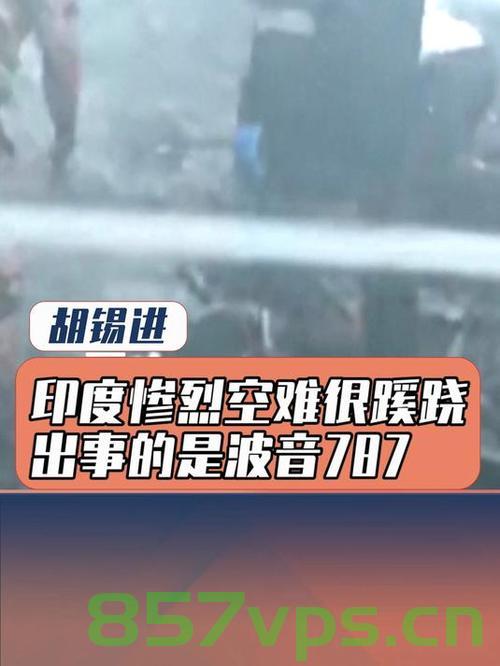 印度空难引发巨额保险索赔——4.75亿美元的背后故事智能免费问答EasyAI m.857vps.cn，印度空难背后的巨额保险索赔，揭秘4.75亿美元的背后故事 第2张