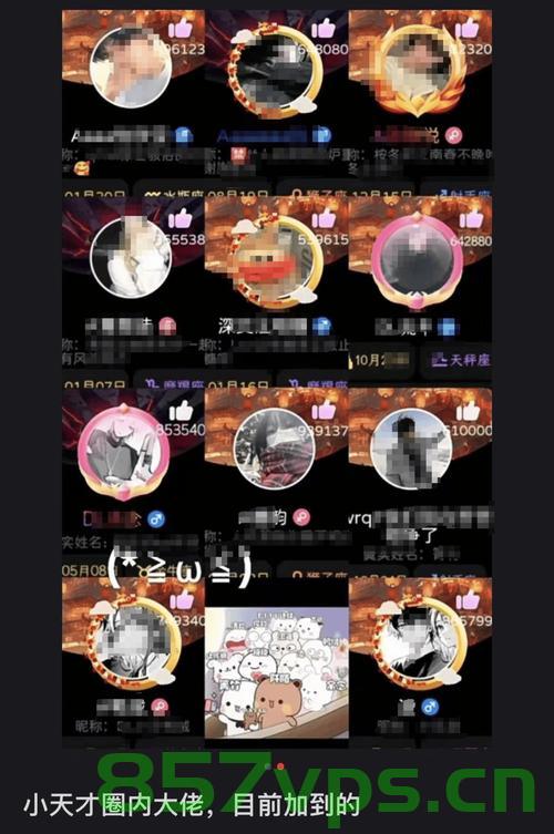 沪上风云，一名00后女子的消费之道与道德挑战智能免费问答EasyAI m.857vps.cn，沪上风云，00后女子的消费抉择与道德挑战