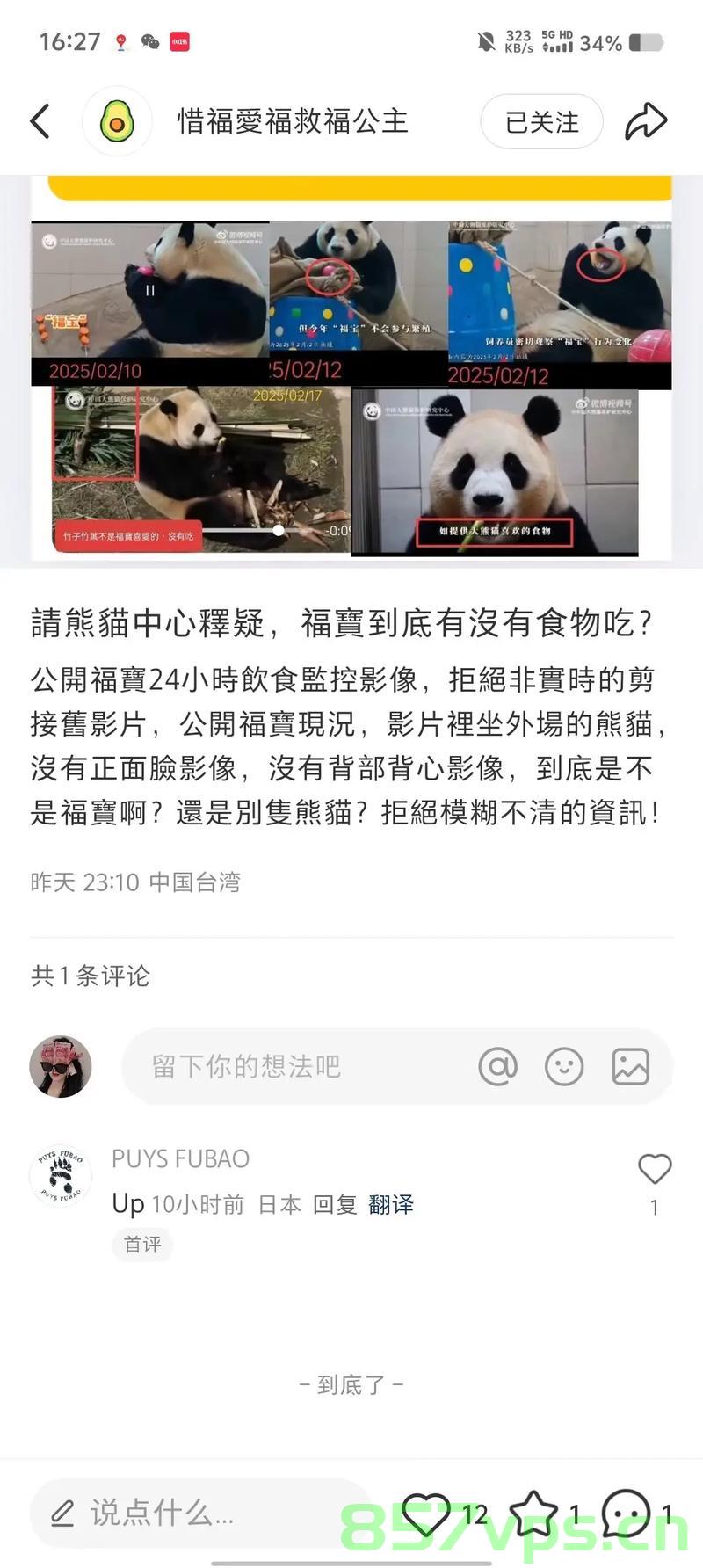 夫妻煽动网暴大熊猫专家双双获刑，反思网络暴力与言论自由的边界智能免费问答EasyAI m.857vps.cn，夫妻煽动网暴大熊猫专家获刑，网络暴力与言论自由的边界反思，网络暴力与言论自由的边界，夫妻煽动网暴大熊猫专家双双获刑反思 第2张