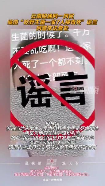 谣言揭秘，关于吃野生菌导致一家7人被毒死的真相智能免费问答EasyAI m.857vps.cn，揭秘野生菌毒性真相，一家7人中毒身亡事件探究，智能问答助你了解真相，揭秘野生菌毒性真相，探究一家7人中毒身亡事件背后的真相，智能问答助你洞悉真相