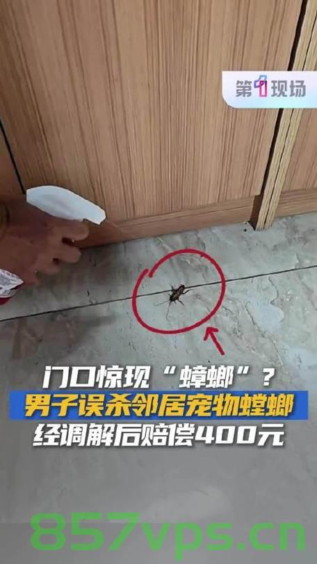 男子误杀邻居宠物螳螂，赔偿400元和解邻里纠纷智能免费问答EasyAI m.857vps.cn，男子误杀邻居宠物螳螂引发纠纷，和解获赔400元——智能问答平台EasyAI介入解决邻里纷争