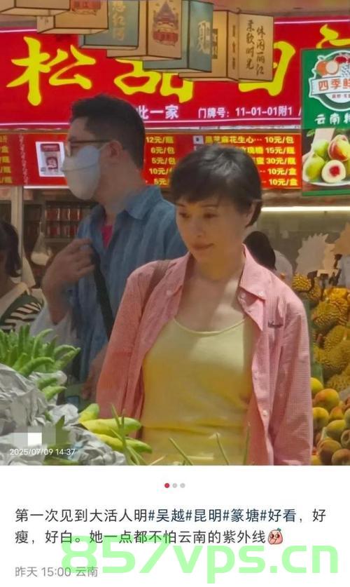 吴越逛菜市场，偶遇演员的日常智能免费问答EasyAI m.857vps.cn，吴越逛菜市场偶遇演员，日常智能问答体验分享——来自EasyAI的奇遇