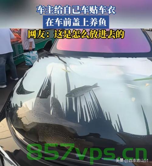 脑洞大开！车主贴透明车衣养鱼，创新生活方式引领潮流智能免费问答EasyAI m.857vps.cn，脑洞大开！车主创新养鱼方式，透明车衣引领智能生活潮流，透明车衣养鱼成新潮！创新智能生活引领趋势