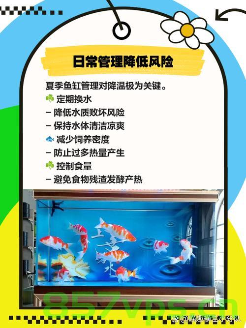 创新养殖方法，养殖户巧妙运用冰块与藿香正气水为鱼塘降温智能免费问答EasyAI m.857vps.cn，创新养殖法，冰块与藿香正气水巧妙结合，智能降温鱼塘新策略，创新养殖法，冰块与藿香正气水智能结合，鱼塘降温新策略 第2张